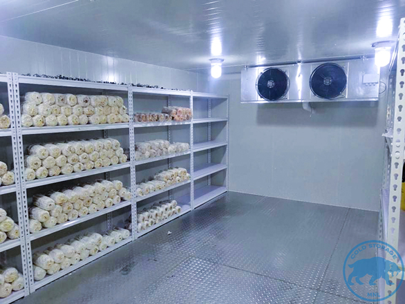 Walk-In Chillers in the Philippines