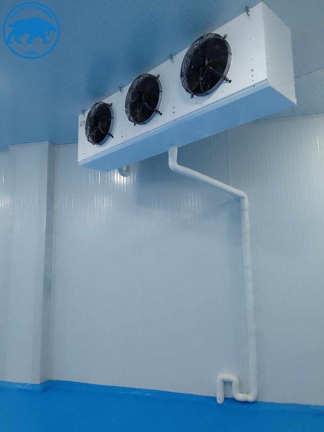 walk-in-freezers-in-the-philippines