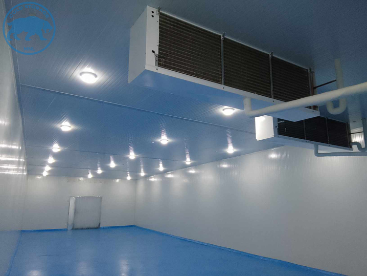 walk-in-freezers-in-the-philippines