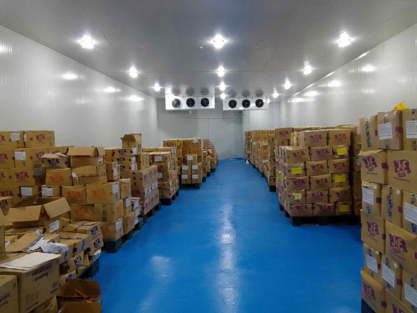 walk-in-freezers-in-the-philippines