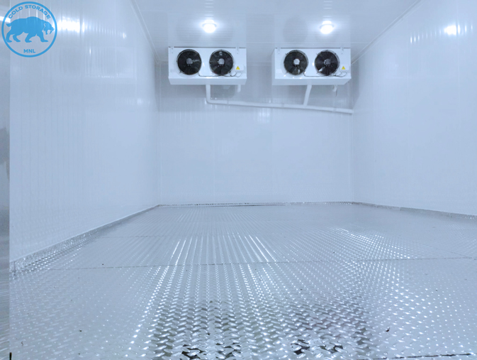 walk-in-freezers-in-the-philippines