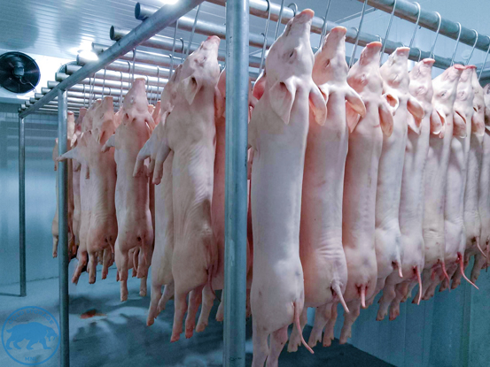 walk-in-freezers-in-the-philippines