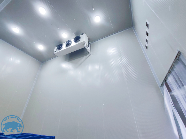 walk-in-freezers-in-the-philippines