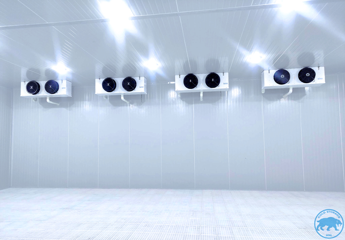 walk-in-freezers-in-the-philippines