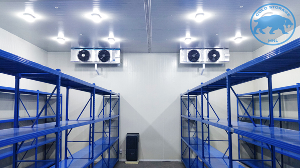 walk-in-freezers-in-the-philippines