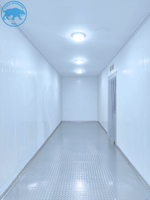 walk-in-freezers-in-the-philippines