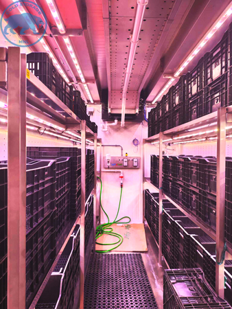 walk-in-freezers-in-the-philippines