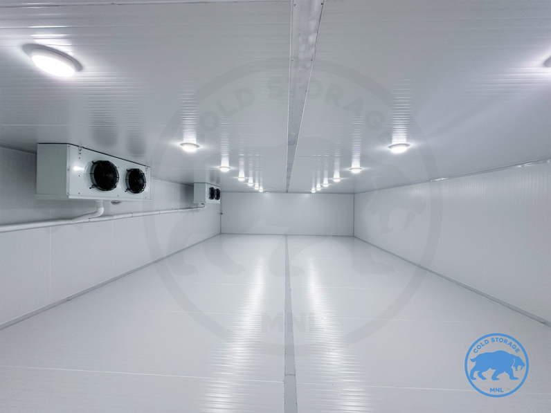 walk-in-freezers-in-the-philippines