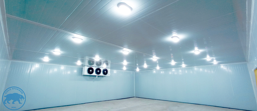 walk-in-freezers-in-the-philippines