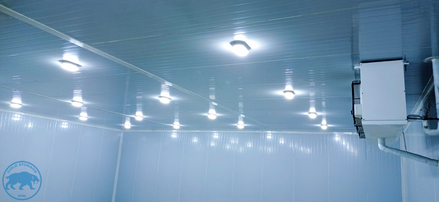 walk-in-freezers-in-the-philippines