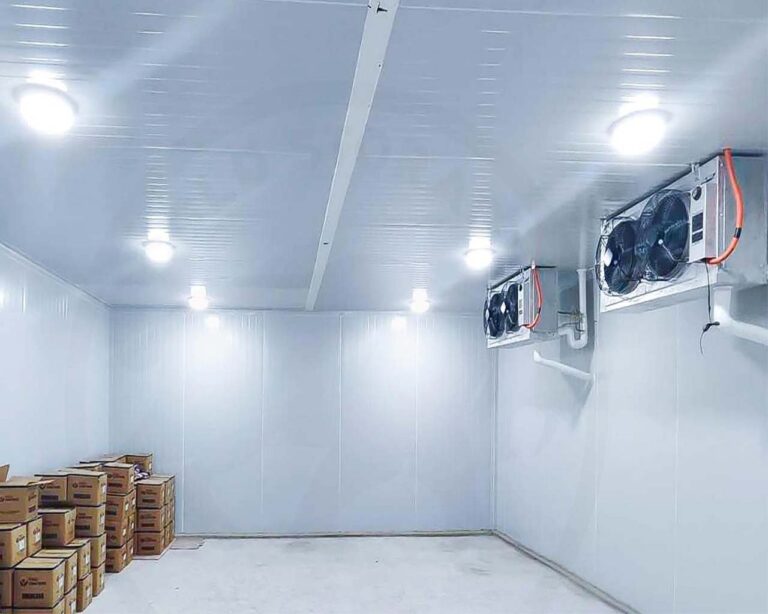 Cold Storage Solutions: The Backbone of a Thriving Meat Industry