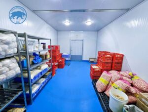 The Significance of Cold Storage in