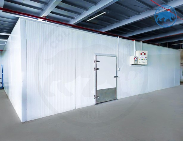 selecting the ideal cold storage